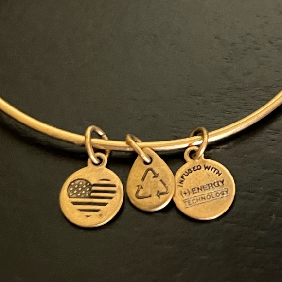 Alex and Ani Gold Charm Bracelet with Expandable Design - Picture 5 of 6